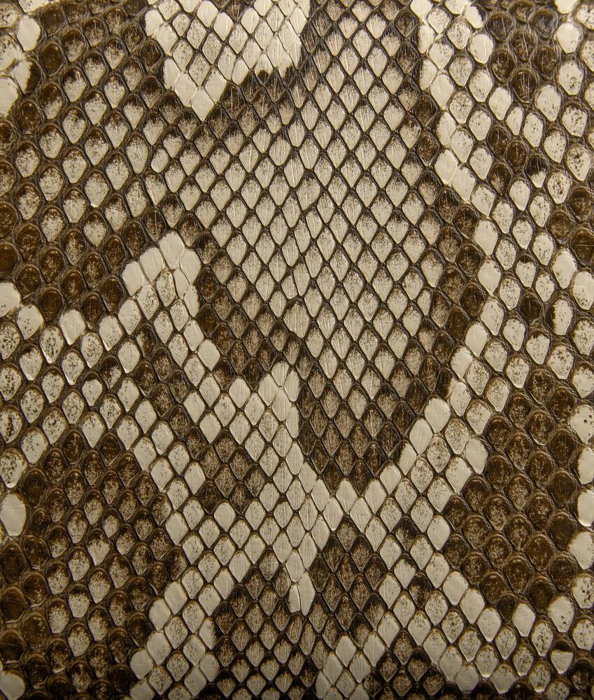 Knot - Hall Of Brand