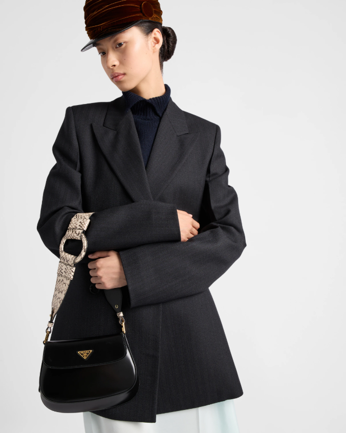 Prada cleo ayers and brushed leather flap bag